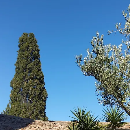 Logis Restaurant L'esquielle